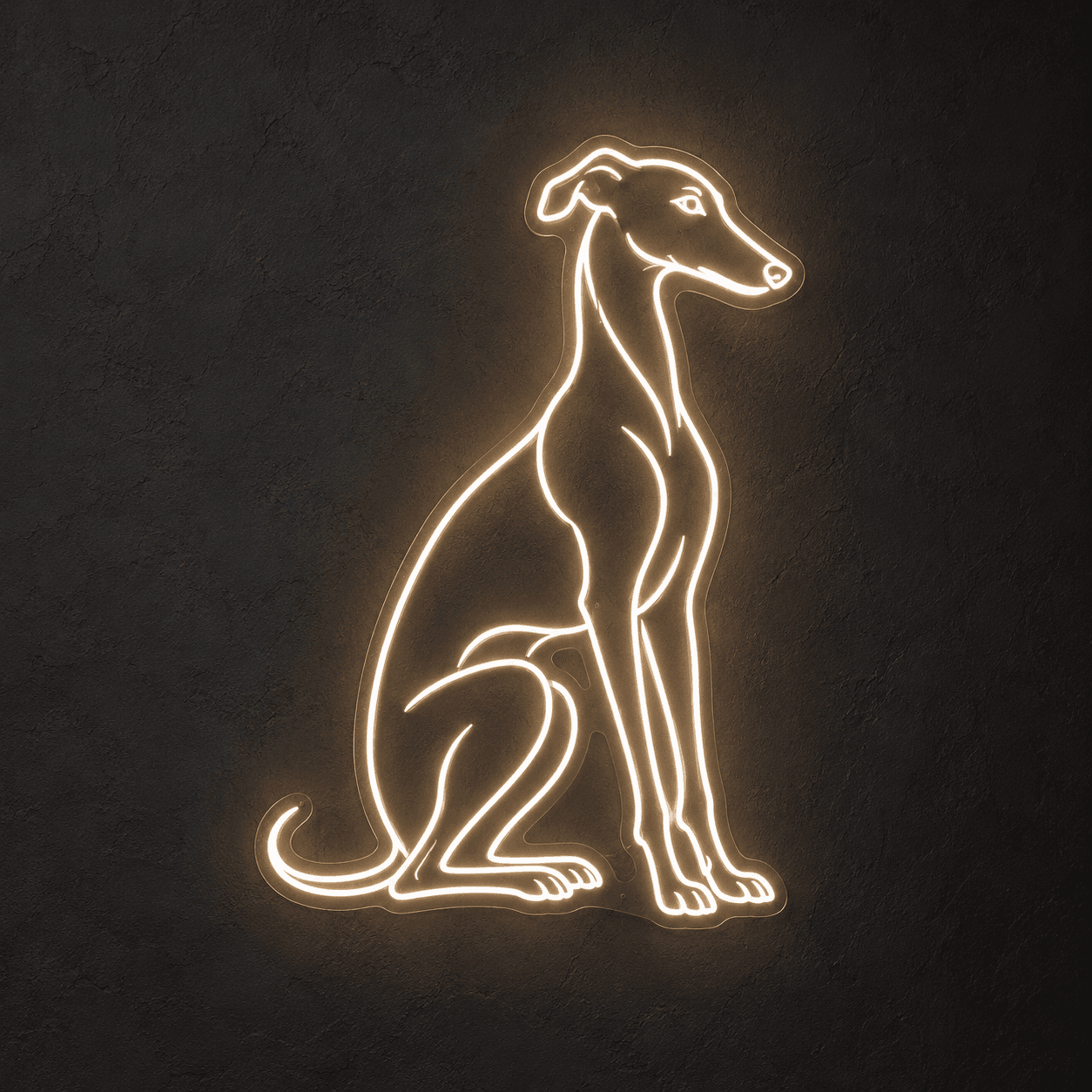 Warm white neon concept of a seated whippet against a charcoal wall.
